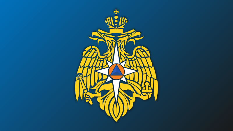 Медицинским работникам системы МЧС России вручены государственные награды и присвоены почетные звания