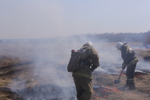В Новосибирской области более 12 тысяч добровольцев освоили пожарное дело и помогают профессионалам защищать территорию от огня