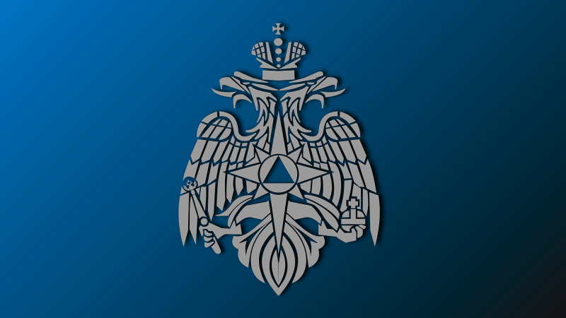 Правительство наделило МЧС России правом максимального авансирования контрактов на поддержание летной годности авиационной техники