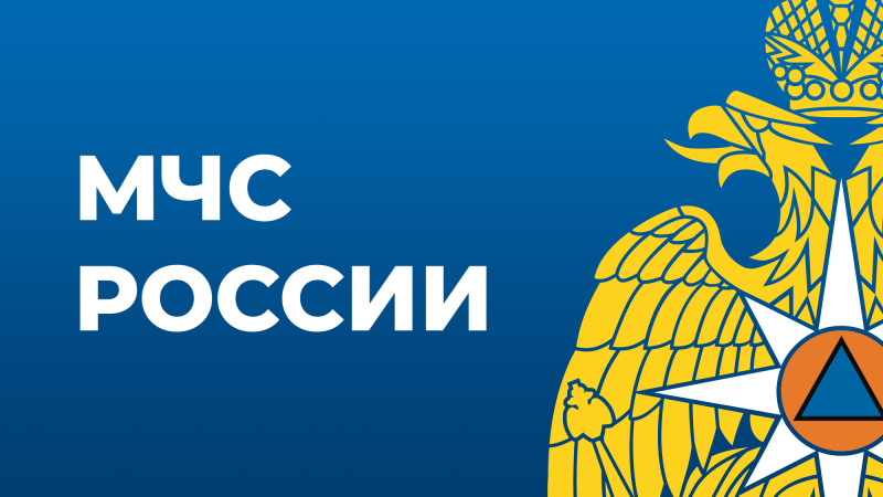 Президент наградил сотрудников МЧС России