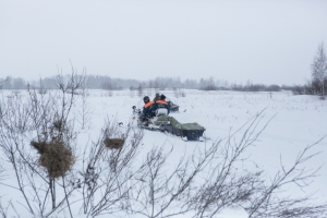 В Новосибирской области в районе Пихтового гребня спасли пятерых туристов