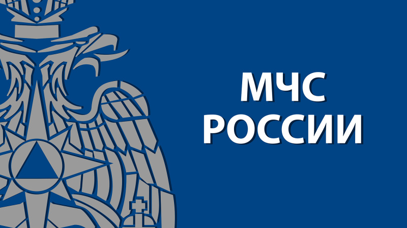 Указом Президента Российской Федерации награждён Государственной наградой заместитель Министра МЧС России Гурович Андрей Михайлович