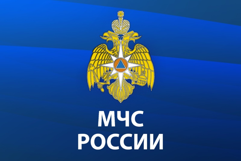 МЧС России разработано положение о государственном контроле (надзоре) за безопасностью людей на водных объектах