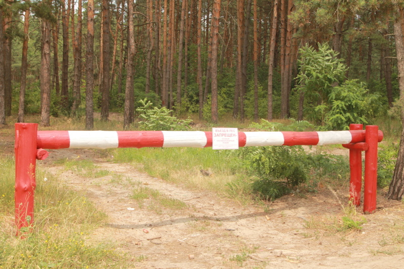 В 56 субъектах страны установлен особый противопожарный режим