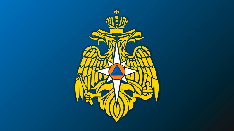 МЧС России уточняет механизм оказания гуманитарной помощи иностранным гражданам